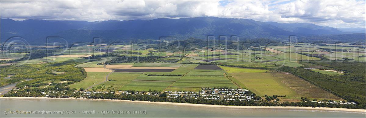 Peter Bellingham Photography Newell - QLD (PBH4 00 14185)